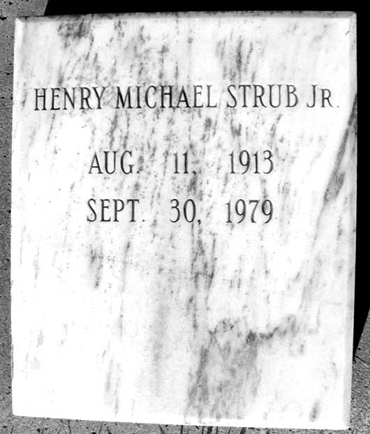 Henry Michael Strub