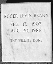 Roger Levin Brann