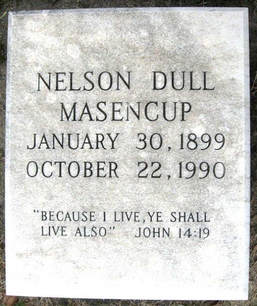 Nelson Dull Masencup
