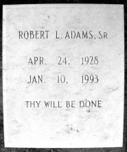 Robert Lyman Adams