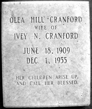 Olea  Cranford