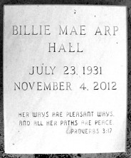 Willie 