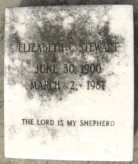 Elizabeth Stewart