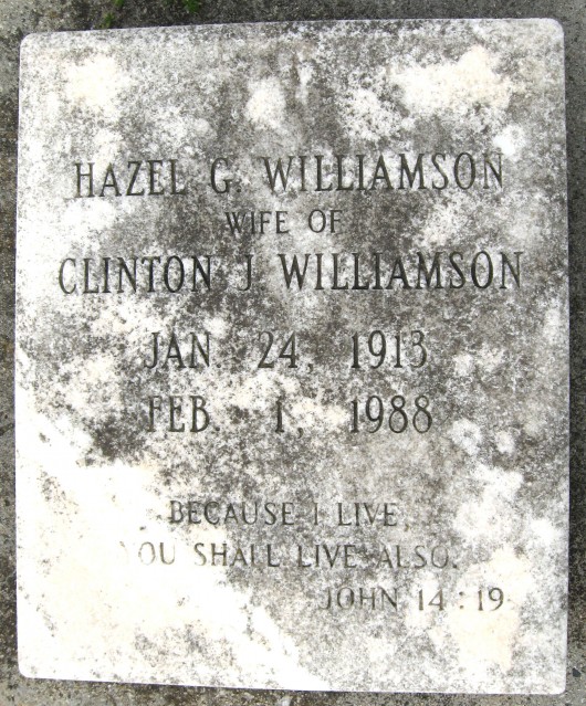 Hazel Reich Williamson