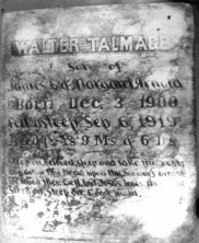 Walter Talmage Arnold