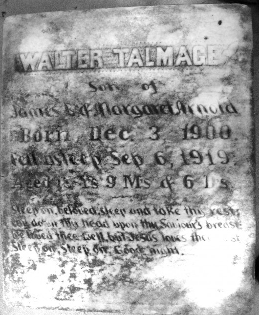 Walter Talmage Arnold