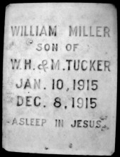 William Miller Tucker