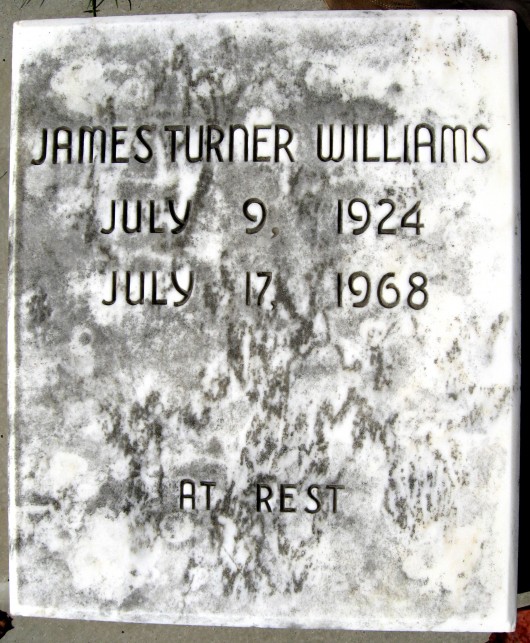 James Turner Williams