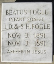 Infant Son  Fogle