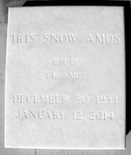 Iris  Amos