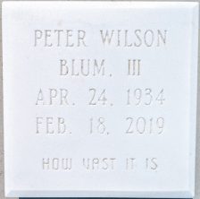 Peter Wilson Blum