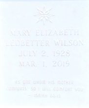 Mary Elizabeth Wilson