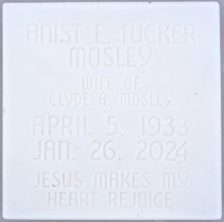 Anist Elizabeth Mosley