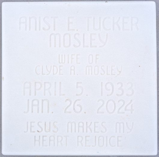 Anist Elizabeth Mosley